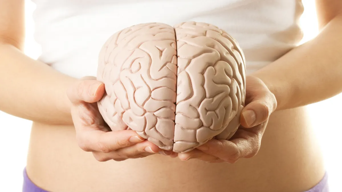 Para ilmuwan mengungkap jalan pintas tersembunyi di otak untuk menurunkan berat badan tanpa rasa mual