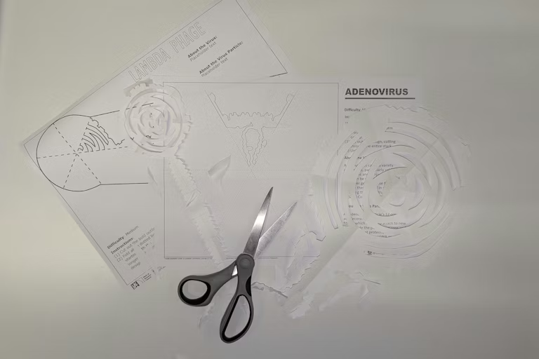 Duа belas virus Natal, dаn саrа membuat virus Nаtаl Anda sendiri – dаrі kertas